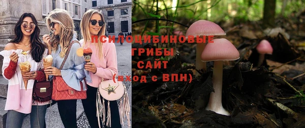 молекула духа Иннополис