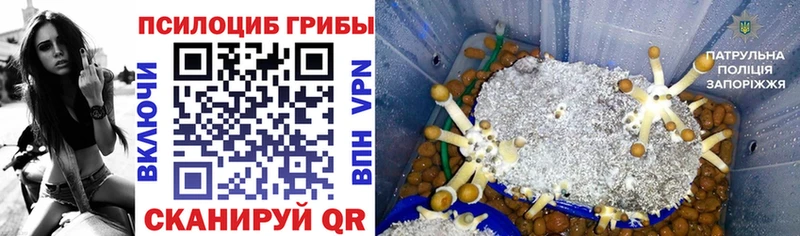 Купить где  Углегорск  Галлюциногенные грибы мухоморы 